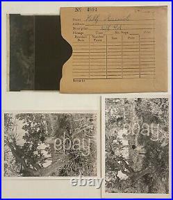 VTG 1950s B&W Press photo & negatives Suicide hanging in Florida Gruesome Death