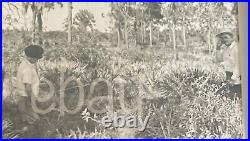 VTG 1950s B&W Press photo & negatives Suicide hanging in Florida Gruesome Death