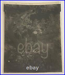 VTG 1950s B&W Press photo & negatives Suicide hanging in Florida Gruesome Death