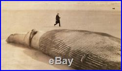 Vintage 1918 Beached Whale Running Man Artistic Vernacular Photography Photo Wow