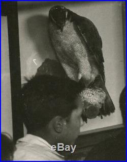 Vintage Art Institute Of Chicago Deco Era Class Birds Figure Artistic Photo