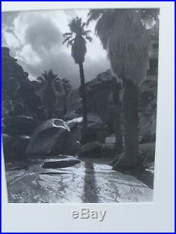 Vintage STEPHEN WILLARD Black and White Photo PALM SPRINGS California