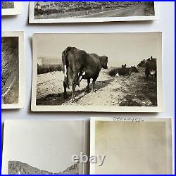 Vintage Snapshot Photograph Lot 38 American West CA Hoover Dam Travel Roadside