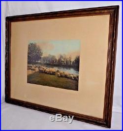 Vintage WALLACE NUTTING Hand Colored Photo of Sheep A Warm Spring Day Signed