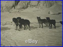Vtg HUGE 1910 LOMEN BROS 3rd ALL ALASKA SWEEPSTAKES Scotty ALLAN Dog Sled PHOTO