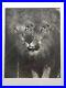 Weegee-arthur-Fellig-Vintage-Silver-Gelatin-Distortion-Photo-Lion-With-3-Eyes-01-jv