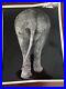 Weegee-arthur-Fellig-Vintage-Silver-Gelatin-Photo-Elephant-s-Rear-01-isf