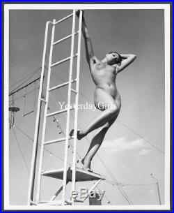 Ygst-1252 Vintage 1960's B/w 8x10 Sweet Art Posed Nude Model By Serge Jacques