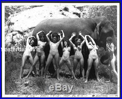 Ygst-1579 Vintage B/w 8x10 1960's 7 Art Posed Nude Woman With An Elephant