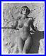 Ygst-2371-Original-Vintage-B-w-8x10-1960-s-Fine-Art-Nude-Study-Outdoors-01-shm