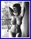 Ygst-2493-Vintage-B-w-8x10-1960-s-Sweet-Art-Posed-Buxom-Nude-01-xec